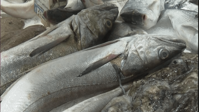 LATINA: SANZIONATI VENDITORI DI PESCE