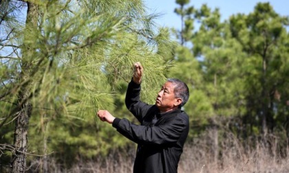 Cina: veterano dell'afforestamento impegnato da 40 anni nell'Anhui