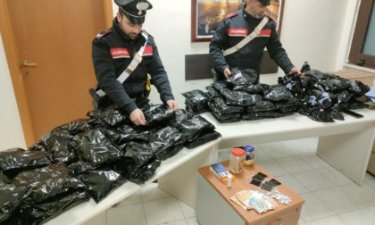 ANZIO: BORSE E VALIGIE IMBOTTITE DI DROGA, DUE ARRESTI