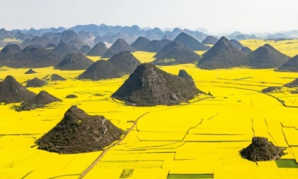 Fiori di colza illuminano i campi della Cina orientale