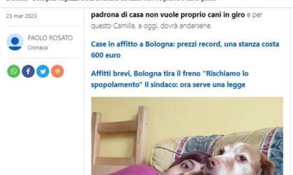 LATINA: CANE GUIDA IN CASA, NON VEDENTE SFRATTATA