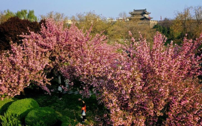 Cina: scenari primaverili a Xi’an 