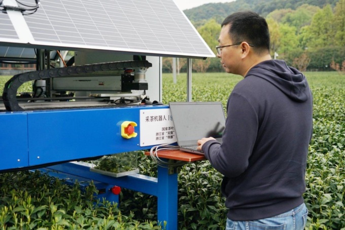 Cina: Zhejiang, robot raccoglie tè Longjing in una piantagione (1)