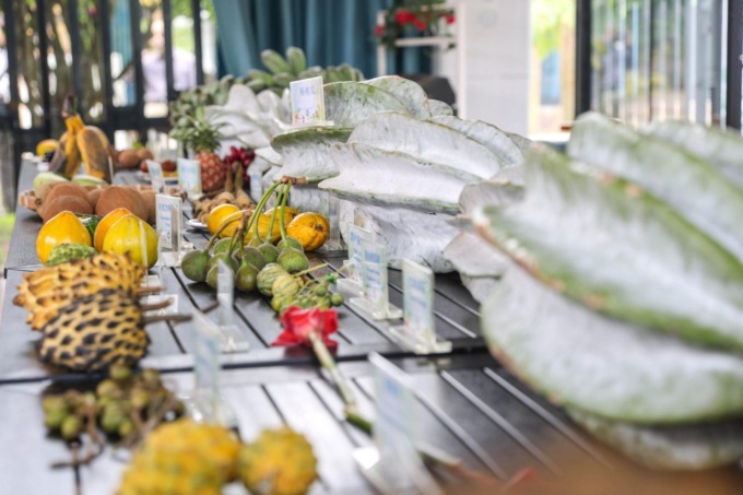 Cina: import-export di prodotti agricoli in aumento a gennaio-febbraio