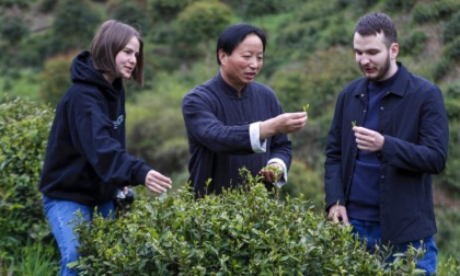 Cina: Huangshan, commercianti russi interessati all'industria del tè