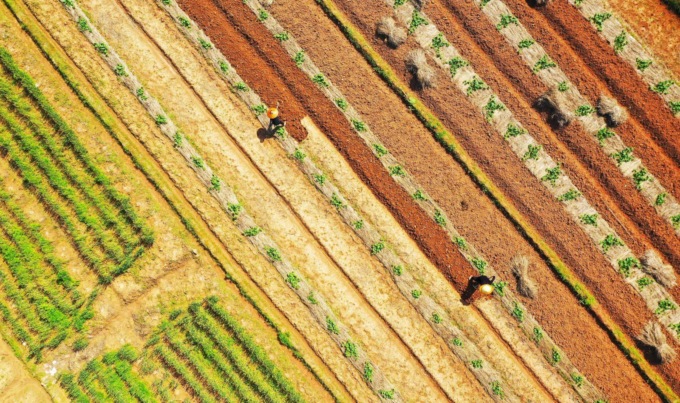 Cina: agricoltura primaverile nello Hunan (2)