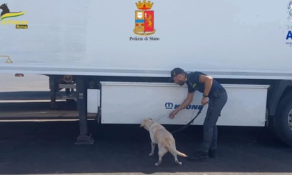 CIVITAVECCHIA: SEQUESTRATE 4 TONNELLATE DI HASHISH