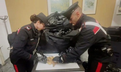 ROMA: ARRESTATA PONY EXPRESS DELL’OPPIO