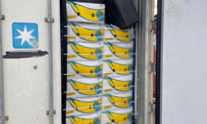 CIVITAVECCHIA: SEQUESTRATI 72 CHILI DI COCAINA AL PORTO