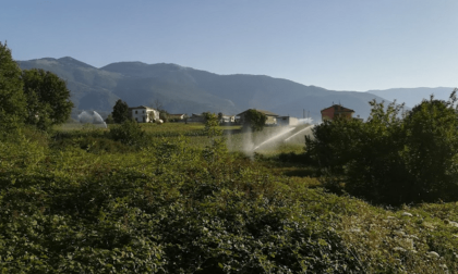 VALLE DEL LIRI: SICCITA', PRONTI ALL'IRRIGAZIONE ANTICIPATA