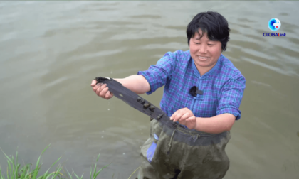 Cina: lumaca d'acqua dolce, la prelibatezza tradizionale del Qingming