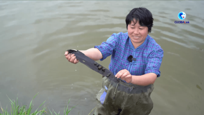 Cina: lumaca d’acqua dolce, la prelibatezza tradizionale del Qingming