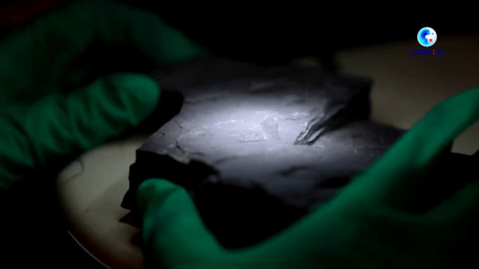 Cina: nord-ovest, scoperti fossili di angiosperme del Giurassico medio