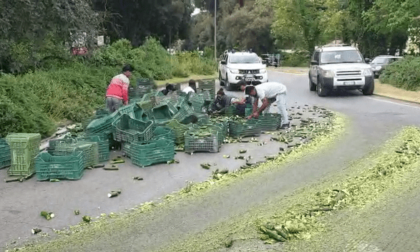 SABAUDIA: CARICO DI ZUCCHINE IN STRADA, CAOS SULLA LITORANEA
