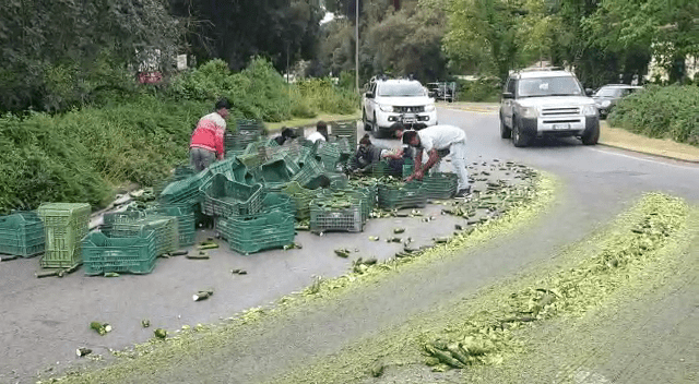 SABAUDIA: CARICO DI ZUCCHINE IN STRADA, CAOS SULLA LITORANEA
