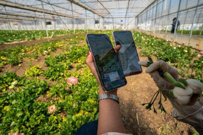 CINA: VENDITE AL DETTAGLIO ONLINE IN AREE RURALI, +8,8% NEL Q1