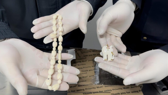 Cina: Changsha, prodotti di avorio sequestrati da funzionari di dogana