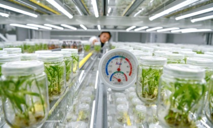 Cina: Guizhou, agricoltura intelligente con big data (1)