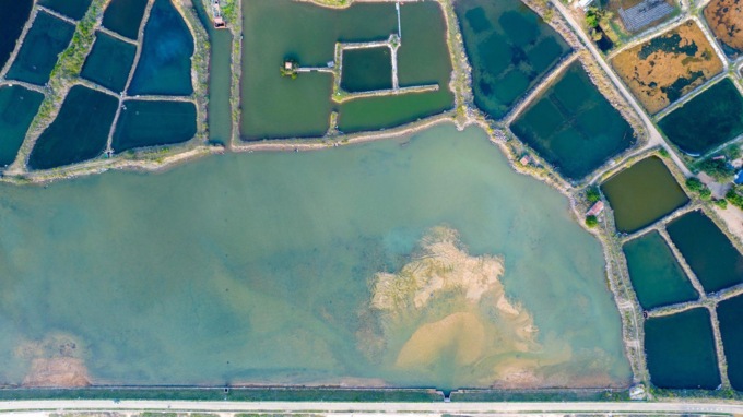 Cina: turismo nella contea di Xuwen (2)