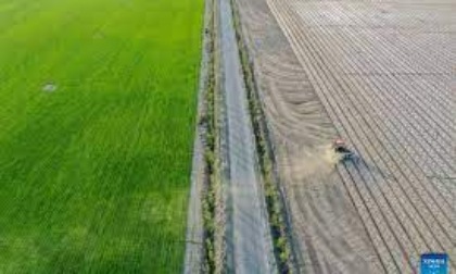 CINA: ALTA TECNOLOGIA ASSISTE COLTIVAZIONE DEL COTONE NELLO XINJIANG