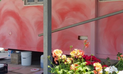 LATINA: “AMICI DEL CANE”, PORTE APERTE DOMENICA 28