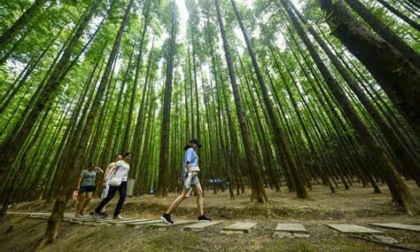 Cina: condizioni ecologiche in continuo miglioramento durante 2022