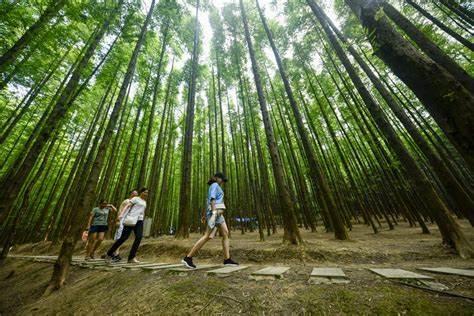 Cina: condizioni ecologiche in continuo miglioramento durante 2022