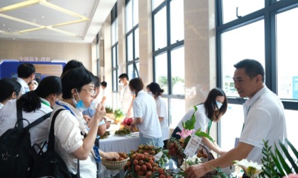 Cina: conferenza su litchi e longan a Maoming