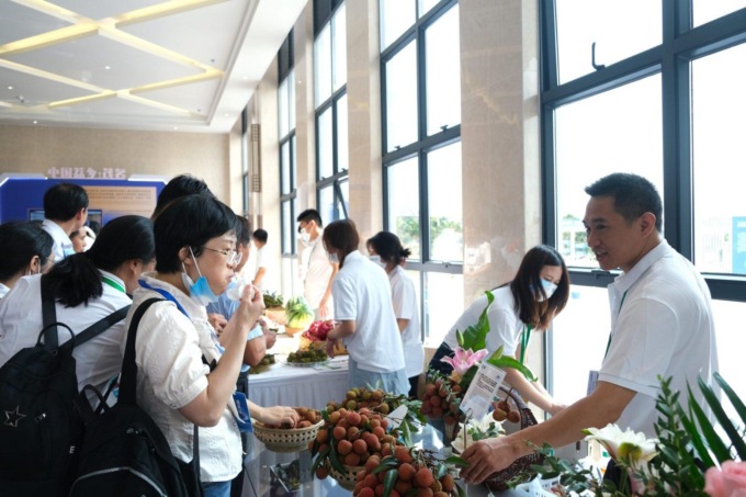 Cina: conferenza su litchi e longan a Maoming