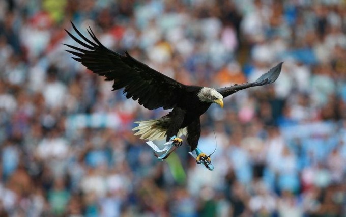 LATINA: LAZIO CLAN, LA FESTA A 10 ANNI DAL 26 MAGGIO