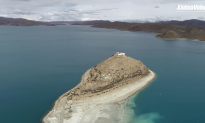 Cina: Tibet, gabbiani testabruna nel lago Yamdrok