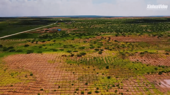 Cina: Mongolia Interna, 100 mln yuan per rimboscare territori sabbiosi