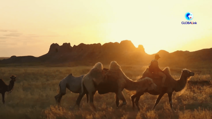 Cina: ripercorriamo la Via della seta a Xi’an