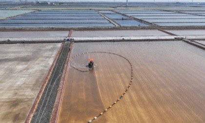 Cina: raccolta nelle saline di Tangshan (1)