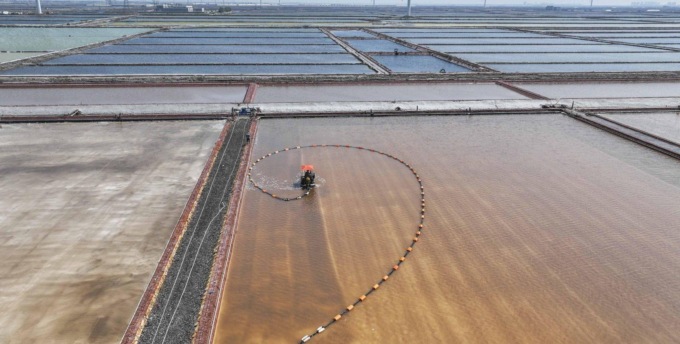 Cina: raccolta nelle saline di Tangshan (1)