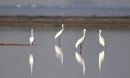 Cina: secondo maggiore lago d'acqua dolce termina lunga stagione secca