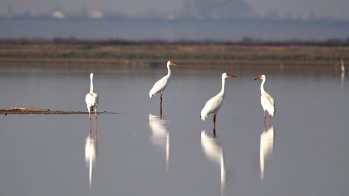 Cina: secondo maggiore lago d’acqua dolce termina lunga stagione secca