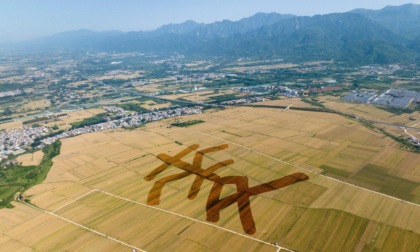 Cina: raccolta estiva del grano in pieno svolgimento (2)
