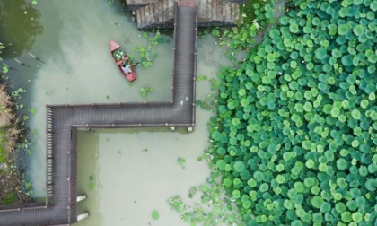 CINA: PROGRAMMA DI RINASCITA RURALE VERDE NELLO ZHEJIANG (1)