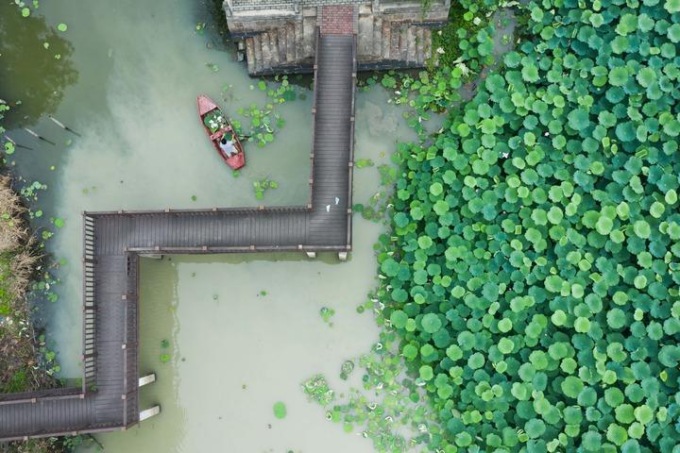 CINA: PROGRAMMA DI RINASCITA RURALE VERDE NELLO ZHEJIANG (1)