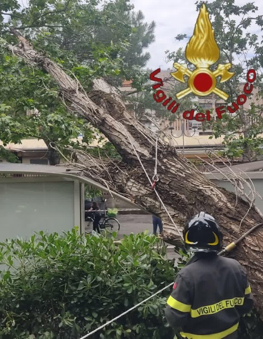ROMA: CROLLO ALBERI, MAXI PERIZIA
