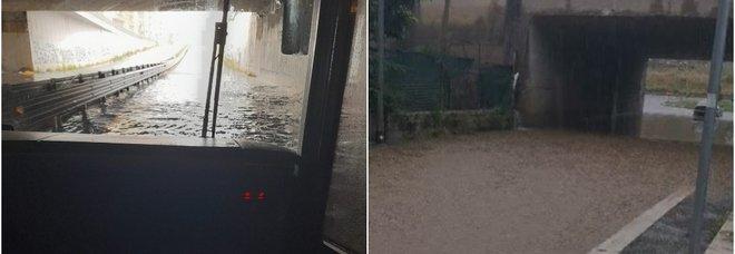 ROMA: MALTEMPO, L’INTERVENTO DI COLDIRETTI