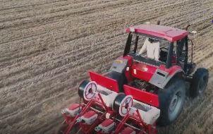 Cina: tecnologia cambia raccolta del grano per una famiglia nell’Henan