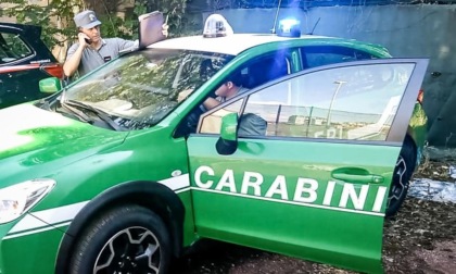 CASSINO: SEQUESTRATO IMPIANTO DI TRATTAMENTO RIFIUTI