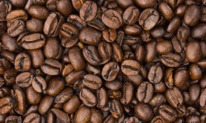 CINA: "PRESTITO DEL CAFFÉ" MISCELA DI SUCCESSO PER PRODUTTORI DI PU'ER