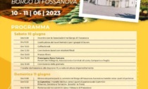 PRIVERNO: LA FESTA FRANCIGENA DEL SUD