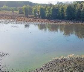 SABAUDIA: ESERCITAZIONI AL PARCO, APPELLO AL MINISTRO