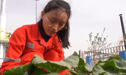 Visita a una comunità verde nel deserto più grande della Cina