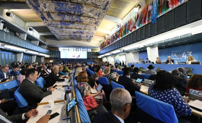 Rielezione del direttore generale della FAO Qu Dongyu 