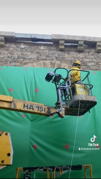 ROMA: ASSALITO DALLE API SUL SET, RICOVERATO IN OSPEDALE